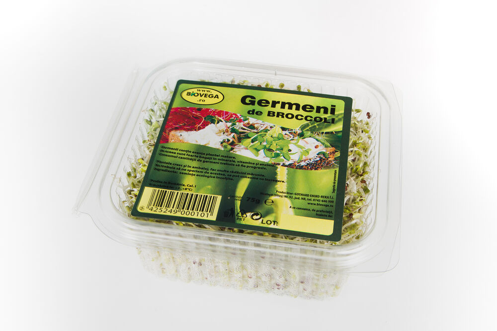 Germeni de broccoli