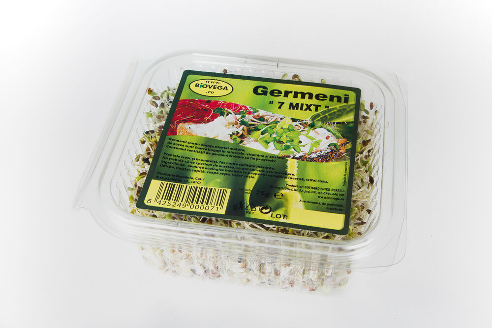 Mix 7 — combinație clasică